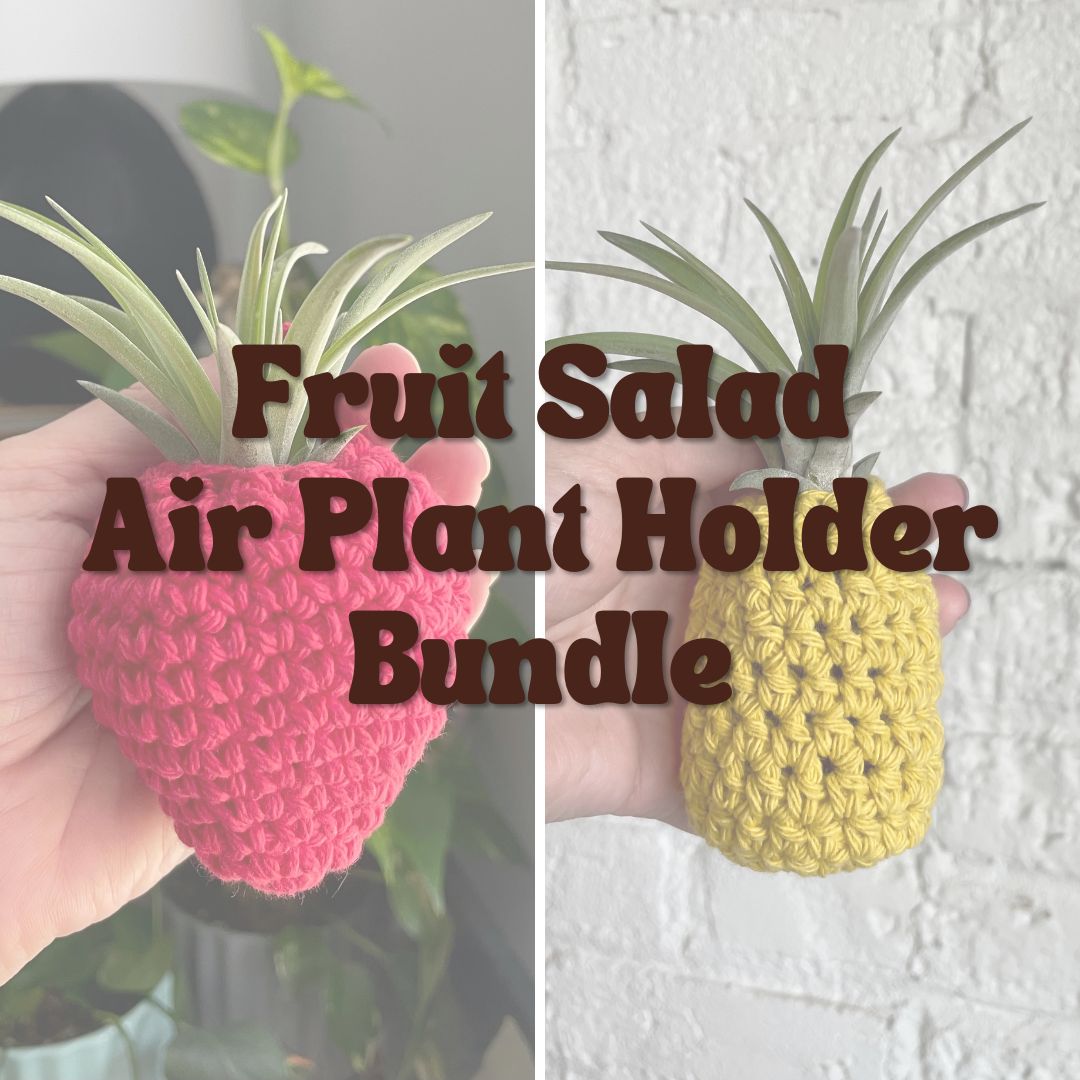 Fruit Salad Air Plant Holder Bundle